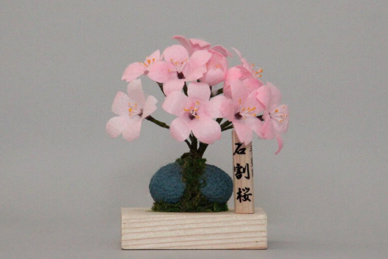 石割桜
